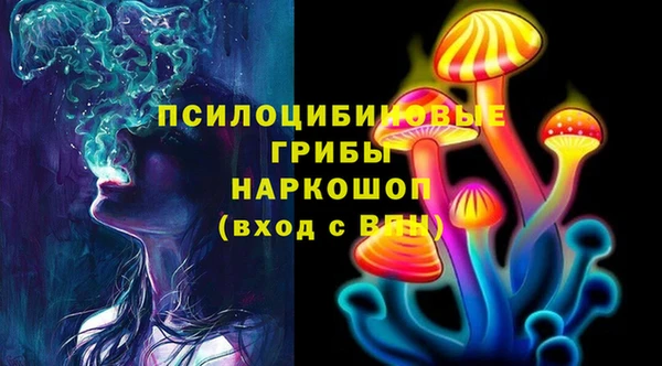 ECSTASY Алексин