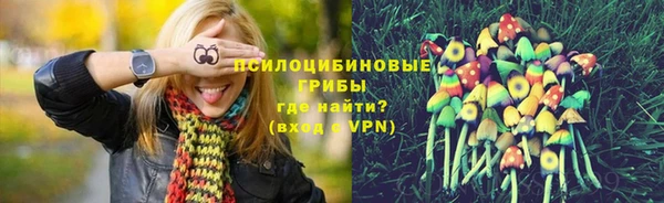дживик Алексеевка