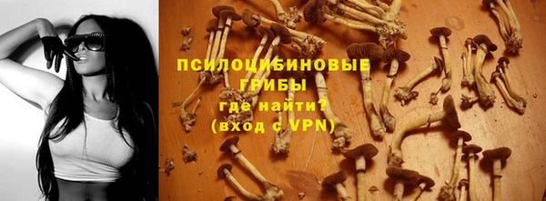 ECSTASY Алексин